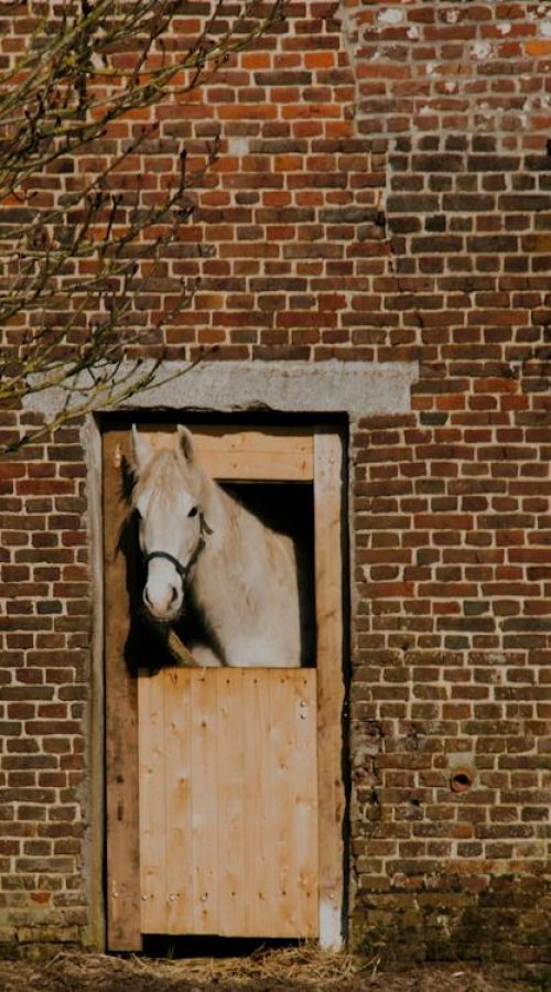 Contact service client Boxprotec